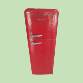 Réfrig. double Froid TRIOMPH TLDP208R/1